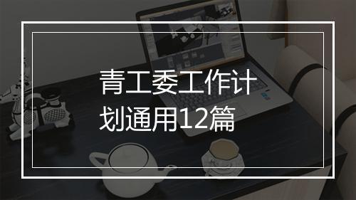 青工委工作计划通用12篇