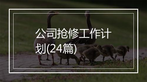 公司抢修工作计划(24篇)