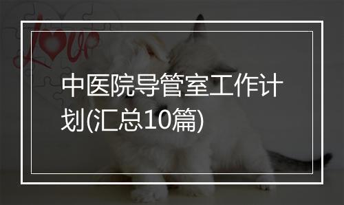 中医院导管室工作计划(汇总10篇)