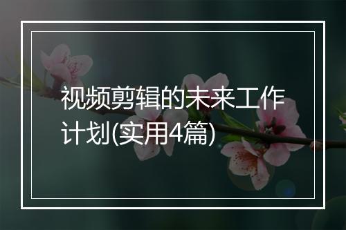 视频剪辑的未来工作计划(实用4篇)