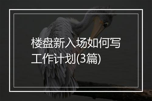 楼盘新入场如何写工作计划(3篇)