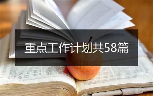 重点工作计划共58篇