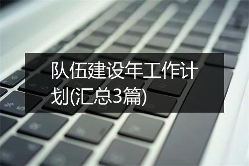 队伍建设年工作计划(汇总3篇)