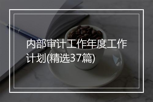 内部审计工作年度工作计划(精选37篇)