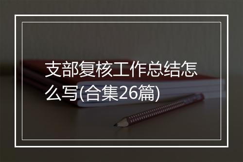 支部复核工作总结怎么写(合集26篇)