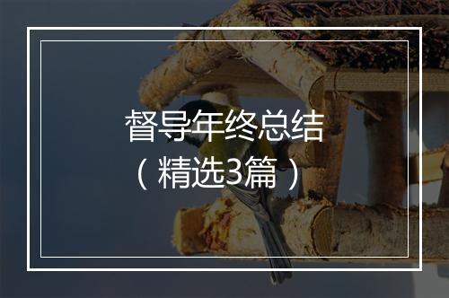 督导年终总结（精选3篇）