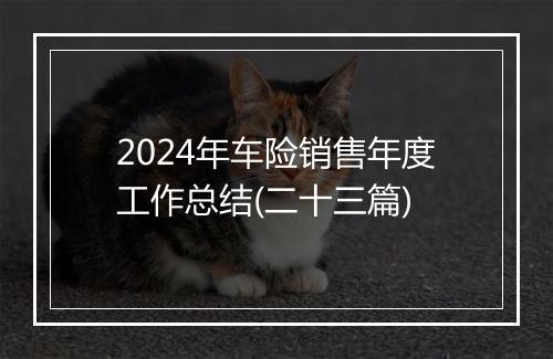 2024年车险销售年度工作总结(二十三篇)