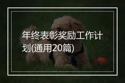 年终表彰奖励工作计划(通用20篇)