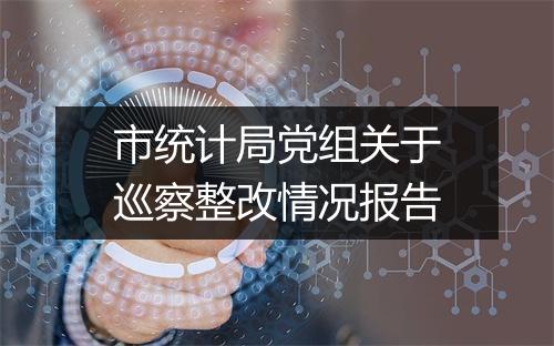 市统计局党组关于巡察整改情况报告