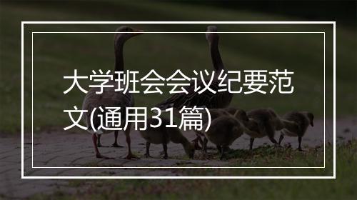 大学班会会议纪要范文(通用31篇)