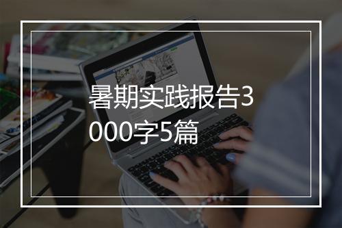 暑期实践报告3000字5篇