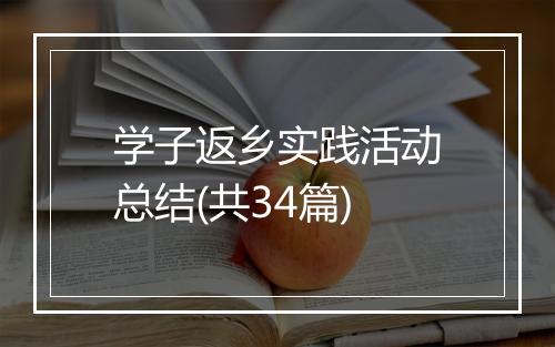 学子返乡实践活动总结(共34篇)