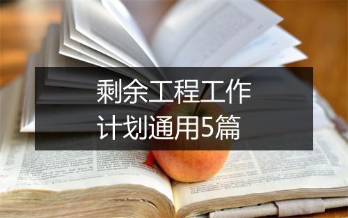剩余工程工作计划通用5篇
