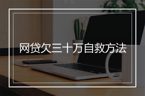 网贷欠三十万自救方法