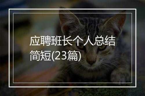 应聘班长个人总结简短(23篇)