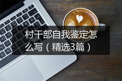 村干部自我鉴定怎么写（精选3篇）