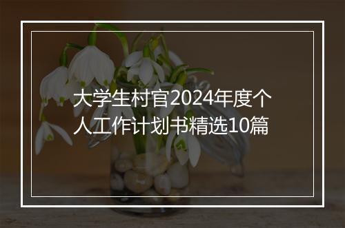 大学生村官2024年度个人工作计划书精选10篇