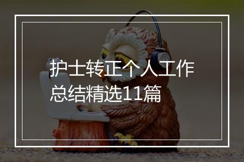 护士转正个人工作总结精选11篇