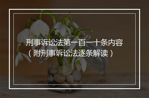 刑事诉讼法第一百一十条内容（附刑事诉讼法逐条解读）