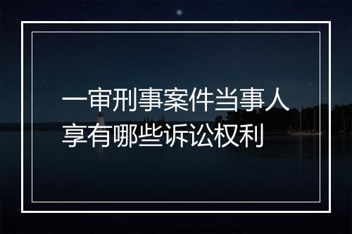 一审刑事案件当事人享有哪些诉讼权利