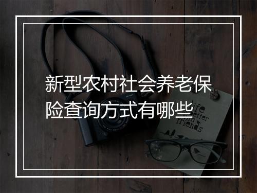 新型农村社会养老保险查询方式有哪些