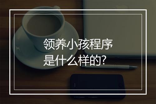 领养小孩程序是什么样的?