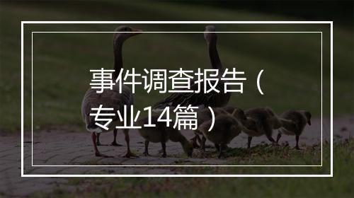 事件调查报告（专业14篇）