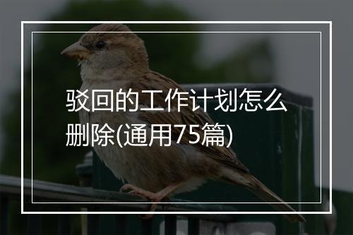 驳回的工作计划怎么删除(通用75篇)