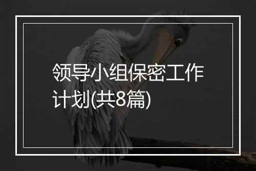 领导小组保密工作计划(共8篇)