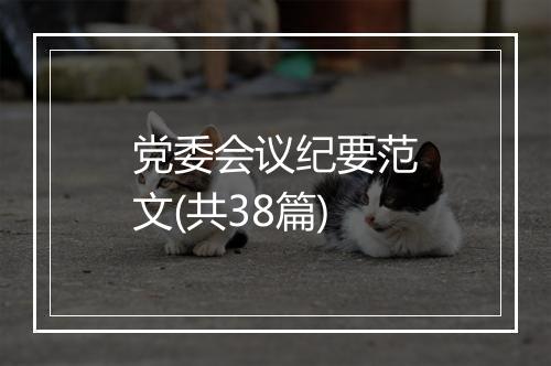 党委会议纪要范文(共38篇)