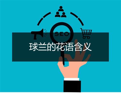 球兰的花语含义
