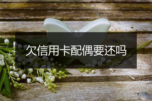 欠信用卡配偶要还吗