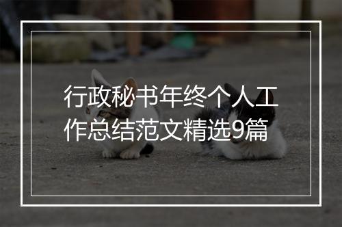 行政秘书年终个人工作总结范文精选9篇
