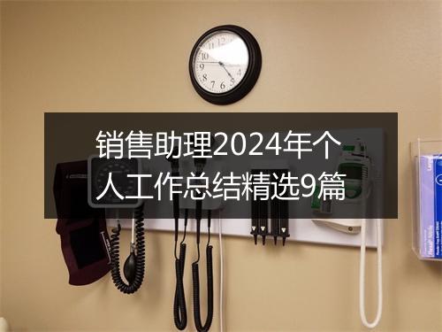 销售助理2024年个人工作总结精选9篇