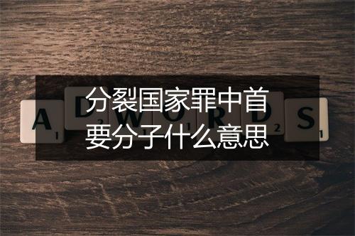 分裂国家罪中首要分子什么意思
