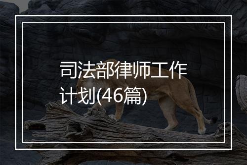 司法部律师工作计划(46篇)