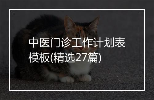 中医门诊工作计划表模板(精选27篇)