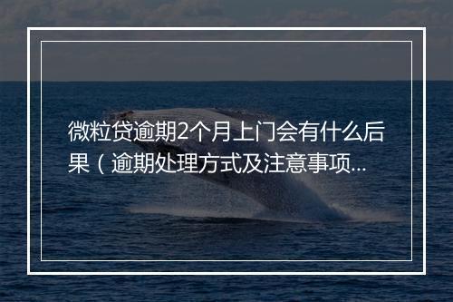 微粒贷逾期2个月上门会有什么后果（逾期处理方式及注意事项）