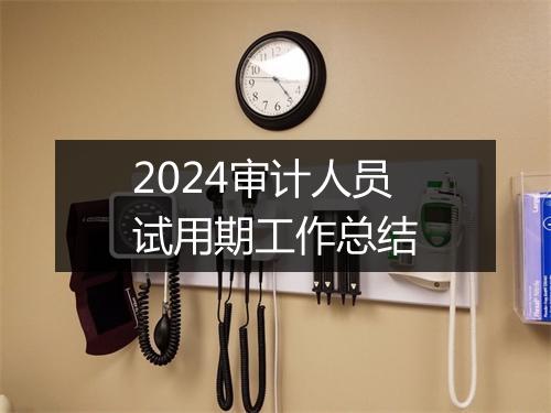 2024审计人员试用期工作总结