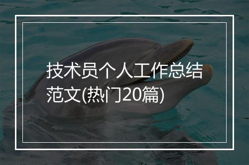 技术员个人工作总结范文(热门20篇)