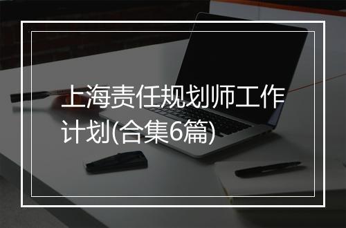 上海责任规划师工作计划(合集6篇)