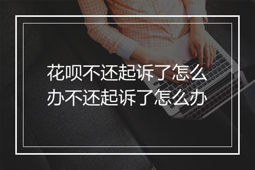 花呗不还起诉了怎么办不还起诉了怎么办