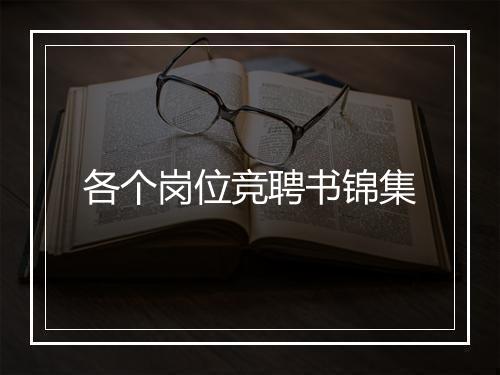 各个岗位竞聘书锦集