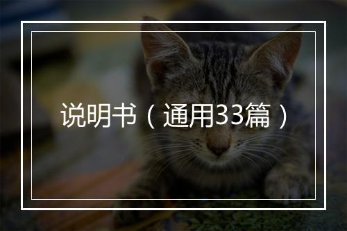 说明书（通用33篇）