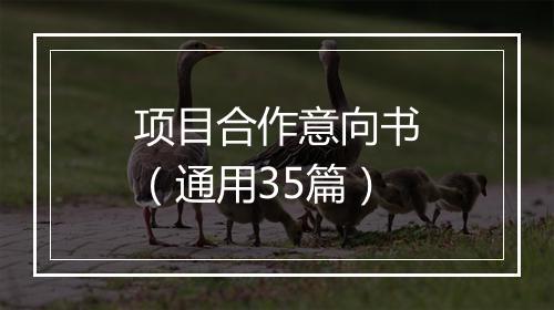 项目合作意向书（通用35篇）