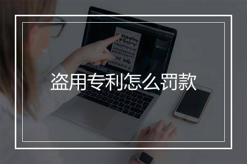 盗用专利怎么罚款