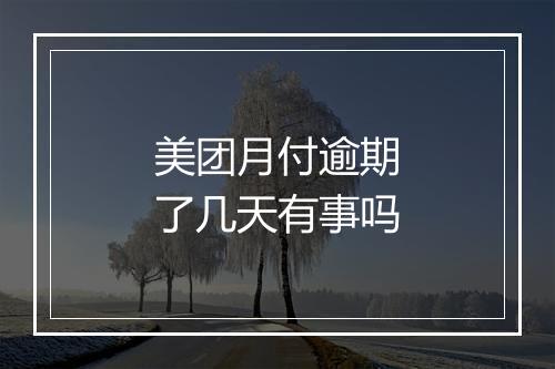 美团月付逾期了几天有事吗