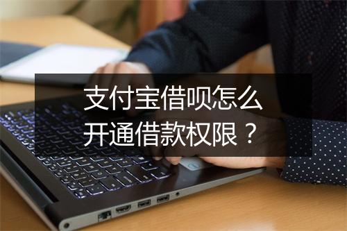 支付宝借呗怎么开通借款权限？