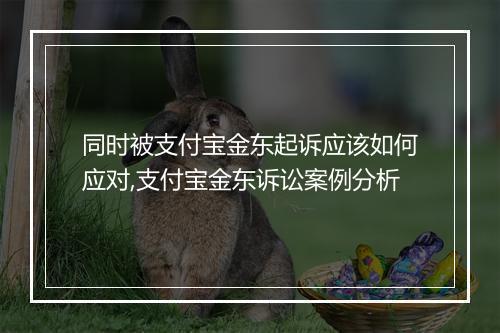 同时被支付宝金东起诉应该如何应对,支付宝金东诉讼案例分析