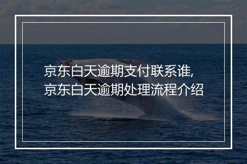 京东白天逾期支付联系谁,京东白天逾期处理流程介绍